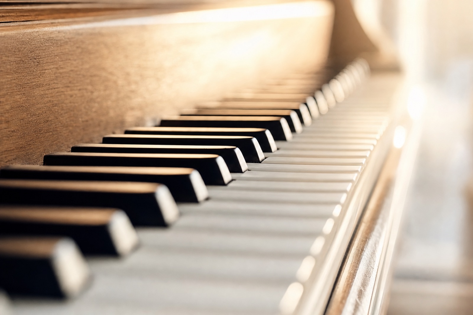 Piano keys in warm morning light